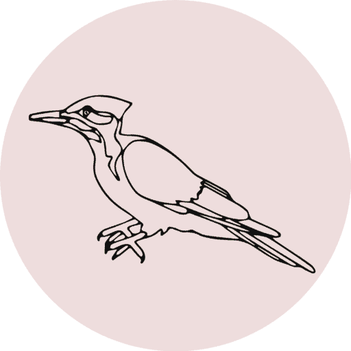 Woodpecker Carpentry logo — Northern Rivers carpenters